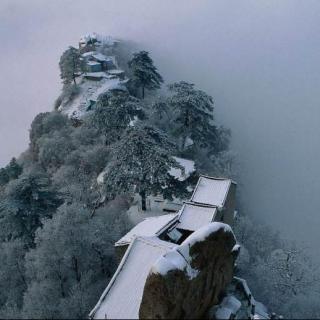 【古诗】祖咏《终南望余雪》