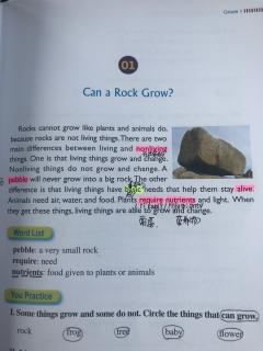 宋可一阅读还课01 Can a rock grow?