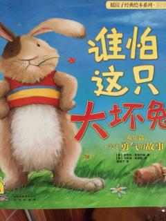 暖房子经典绘本系列之谁怕这只大坏兔