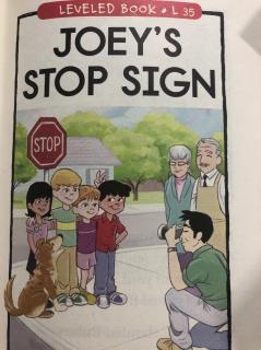 Joey's Stop Sign