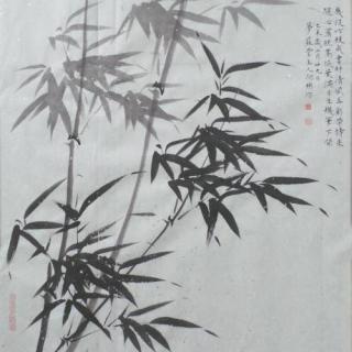 【33460】影心似竹 古风仙侠  虐恋苦情