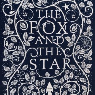 The fox and the star