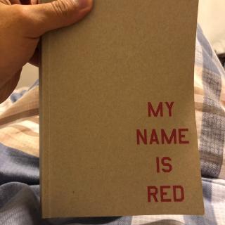 《我的名字叫红》