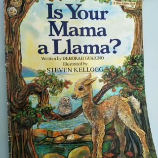 Is your mama a llama？