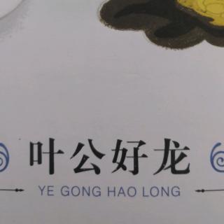 叶公好龙