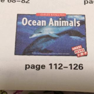 Ocean Animals