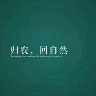 二 在折腾中思考 在思考中折腾（上）