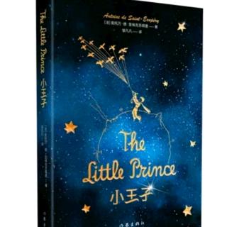 The Little Prince8(2.26)