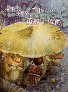 一个、两个、三个……蘑菇下躲雨