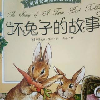 睡前故事彼得兔系列之《坏兔子的故事》