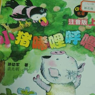 《小猪唏哩呼噜》之《小猪卖橘子》1、2、3、4、5