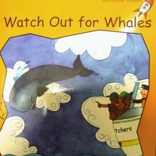 watch out for whales