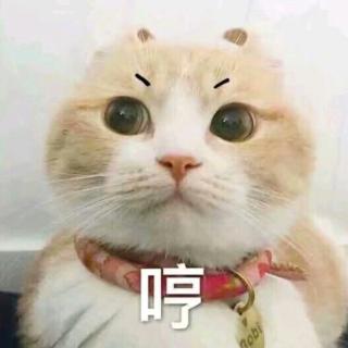 《瞎播》这两个版本学猫叫你一定没听过