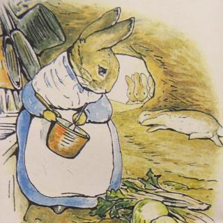 《小兔彼得的故事》