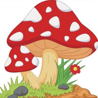 长斑点的蘑菇