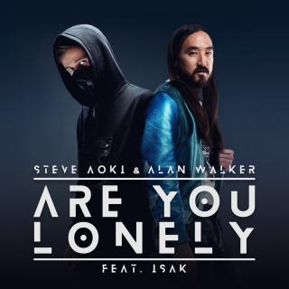 Are You Lonely——Steve Aoki & Alan Walker