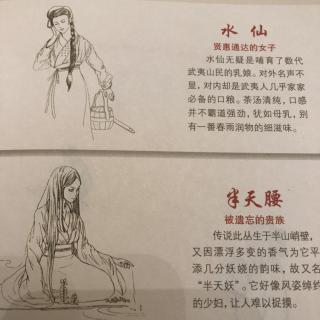 【问山访茶】10.岩茶“族长”茶江湖里的人物索引