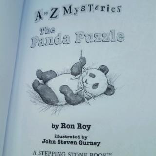 The Panda Puzzle 16