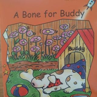 《A Bone For Boddy 》