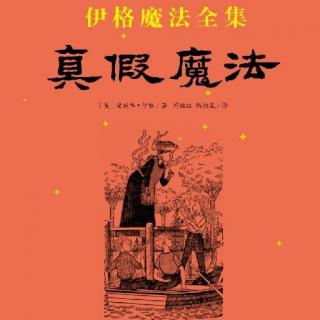 伊格魔法全集之真假魔法(6) - 伤心的银井（2）