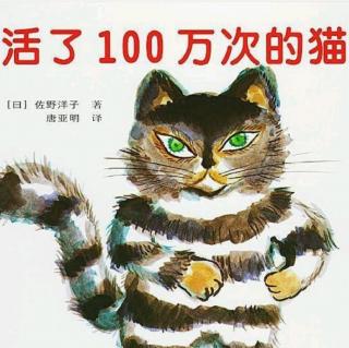 实验幼儿园绘本故事推荐第78期《活了一百万次的猫》