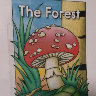 joy读绘本theforest