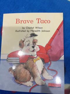 Brave Taco