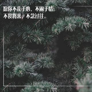 过往不念，余生不扰