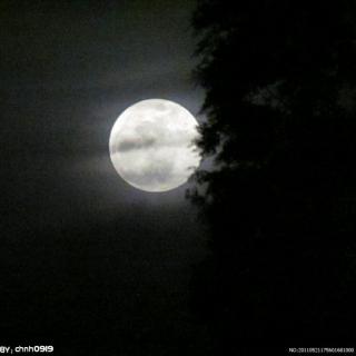 月亮是一首朦胧的小诗