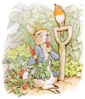 The Tale of Peter Rabbit.