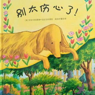 小静老师的晚安故事《别太伤心了》