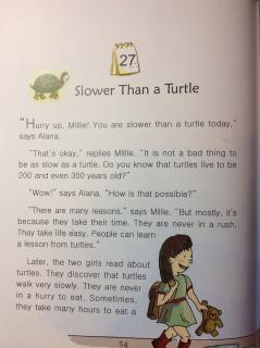 12-27 🐢Slower than a turtle