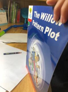 The willow  pattern  plot