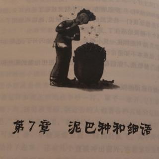 二宝妈妈讲故事《第7章泥巴种和细语》