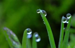 春雨/依然小语