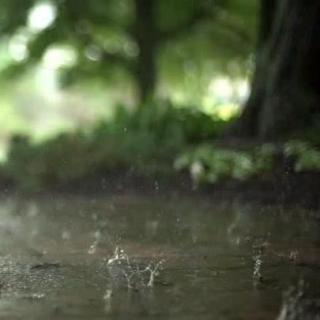 哄睡|【雨】白噪音催眠哄睡03