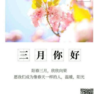 19-03《假如给我三天光明》重读1.序