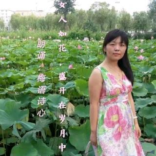 女人如花，盛开在岁月中