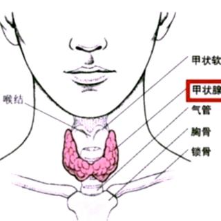 甲减需要终身用药吗？