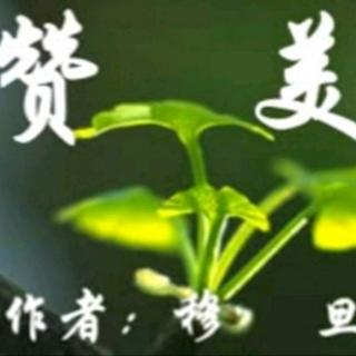 《赞美》作者/穆旦 朗诵/华丽人生