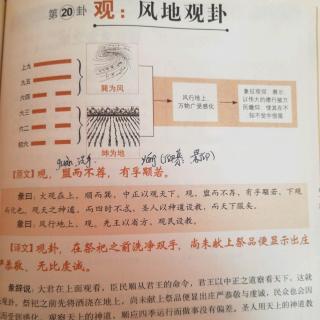 易经第20卦观：风地观卦