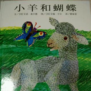 精选绘本故事21-《小羊和蝴蝶》