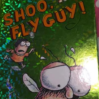 shoo fly guy