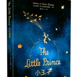 The Little Prince13(3.5)