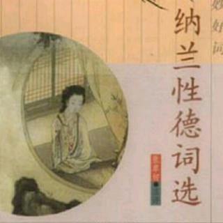 《清平乐》风鬟雨鬓  纳兰容若