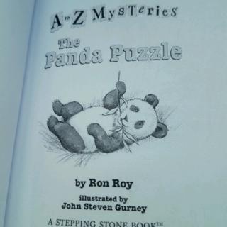 The Panda Puzzle 19