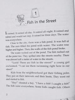 1-1 🐠Fish in the Street