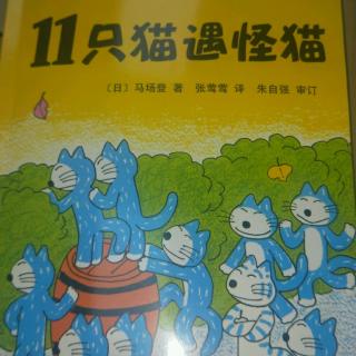 11只猫遇怪猫