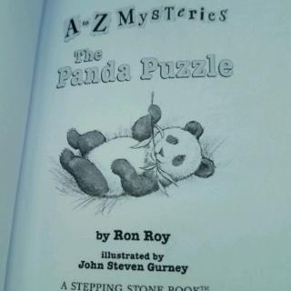 The Panda Puzzle 21