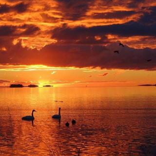 对立统一规律是唯物辩证法的实质和核心